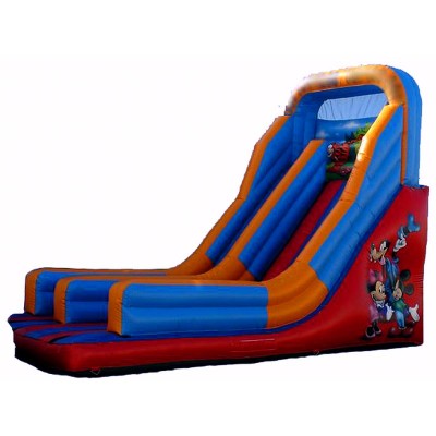Mickey Mouse Blow Up Slide