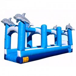 Adult Dolphin Slip N Slide Adult Dolphin Slip N Slide