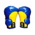 Adults Boxing Gloves(Pair) Inflatables