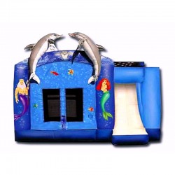 Dolphin Jumper With Slide