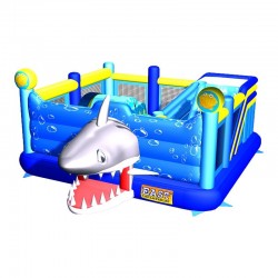 Finding Nemo Experience Bouncer