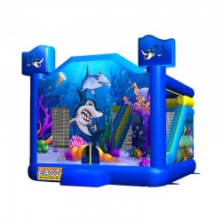 Finding Shark Combo Four Finding Shark Combo Four