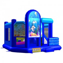 Finding Shark Jumper Combo Five