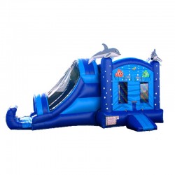 Inflatable Dolphin Combo Inflatable Dolphin Combo