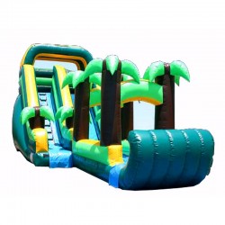 Inflatable Tropical Waterslide Inflatable Tropical Waterslide