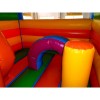 Commercial Jumping Castle