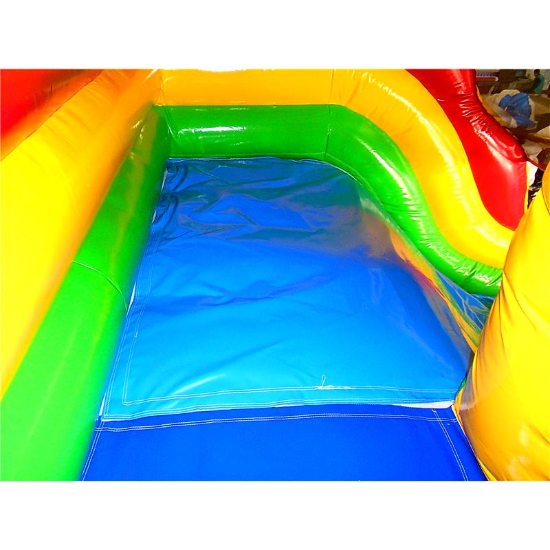 Sixteen Foot Dolphin Pool Slide